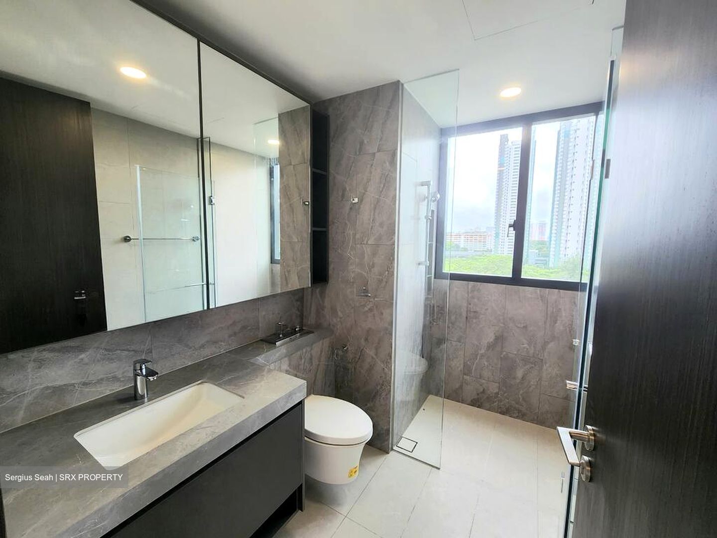 Parc Clematis (D5), Apartment #519048411
